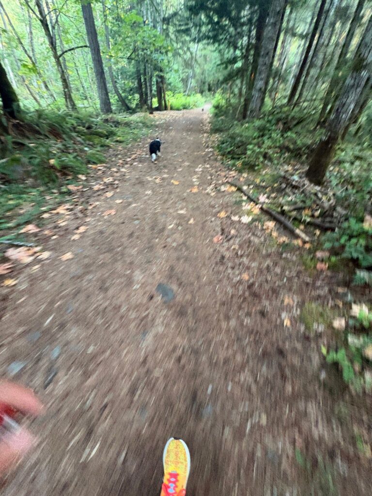 Out for a run
