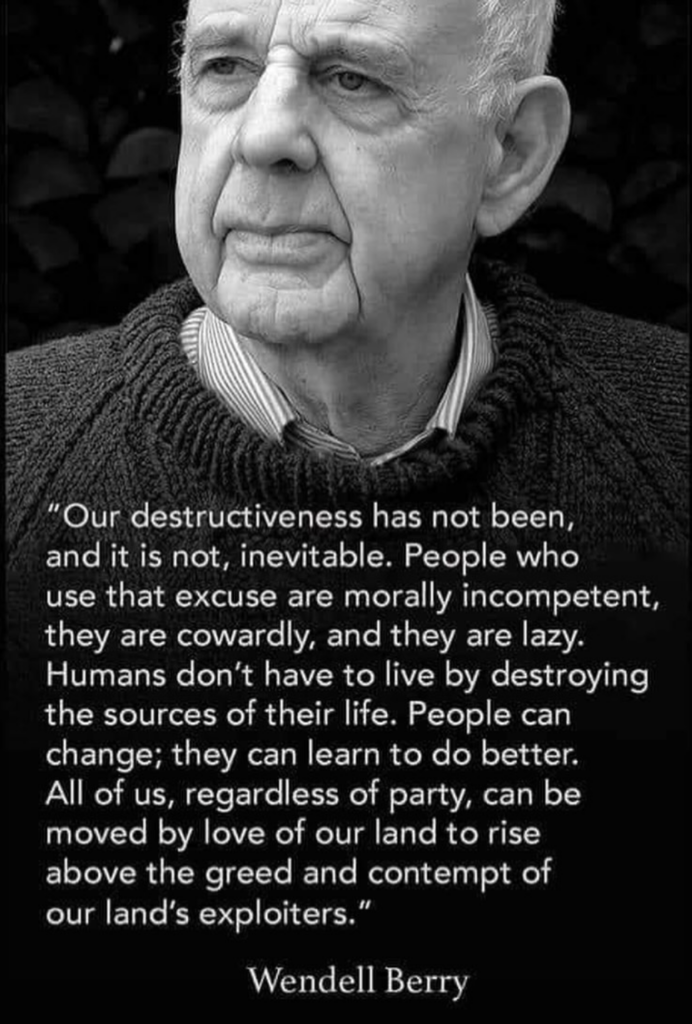 Nature as measure – remembering Wendell Berry